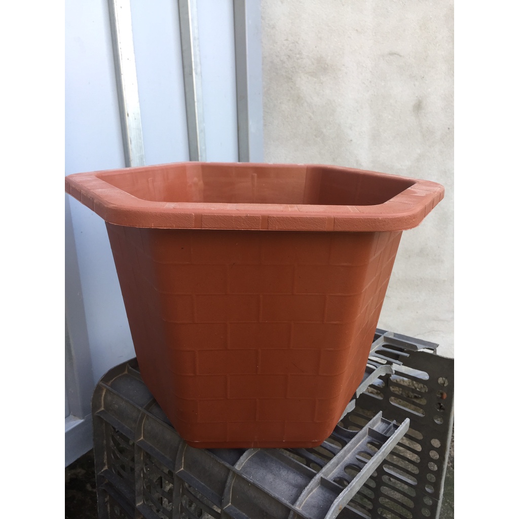 5 CHẬU NHỰA LỤC GIÁC MÃ #380 (DỊCH TRUYỀN CỨU CÂY, KÍCH RỄ MẦM CÂY, BẦU KHAY TÚI ƯƠM..)