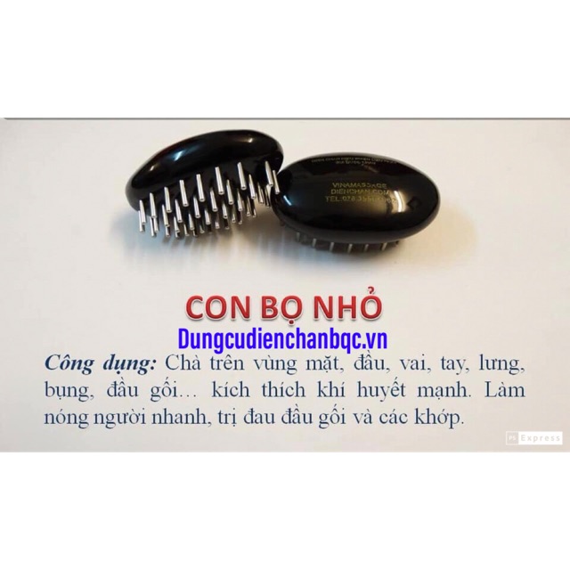 Con bọ nhỏ Diện Chẩn