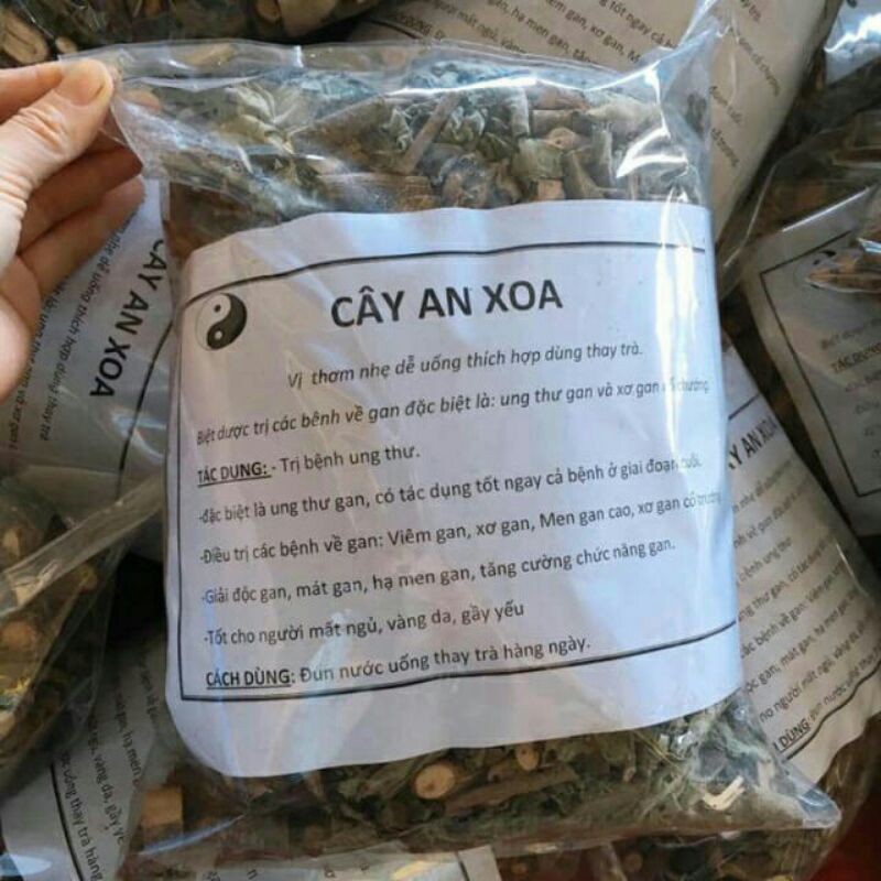 sỉ giá gốc cây an xoa 1kg