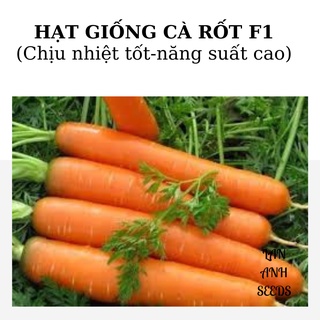 Hạt giống cà rốt củ to f1 gói 20 hạt - cho năng suất cao