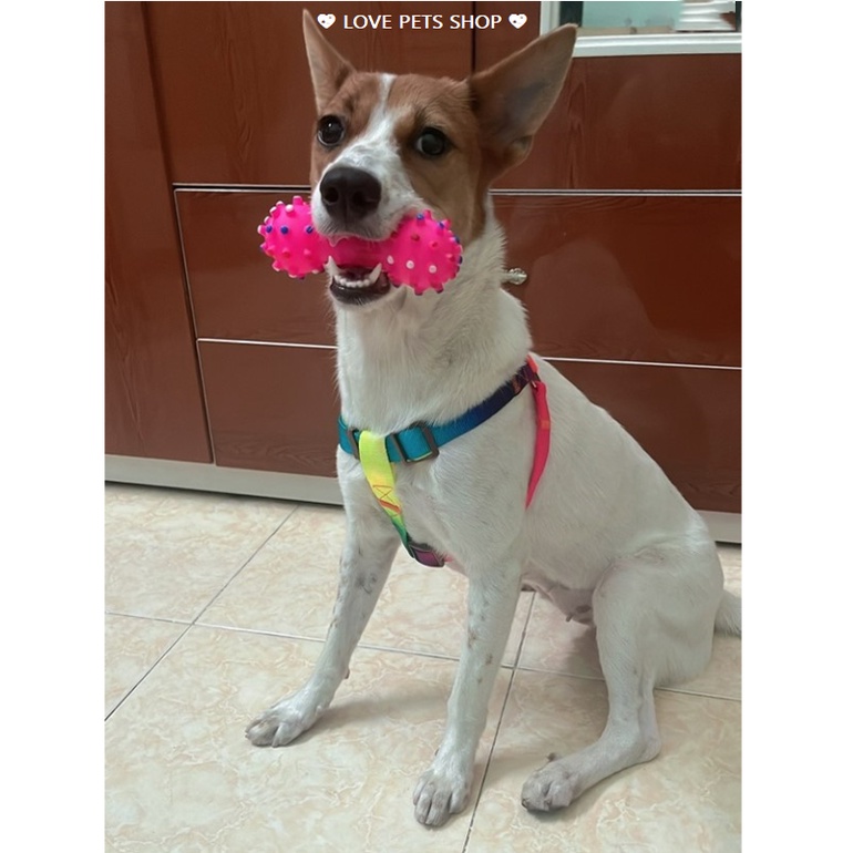 ĐAI YẾM NGỰC CHO CHÓ MÈO (KHÔNG BAO GỒM DÂY DẮT) - LOVE PETS SHOP