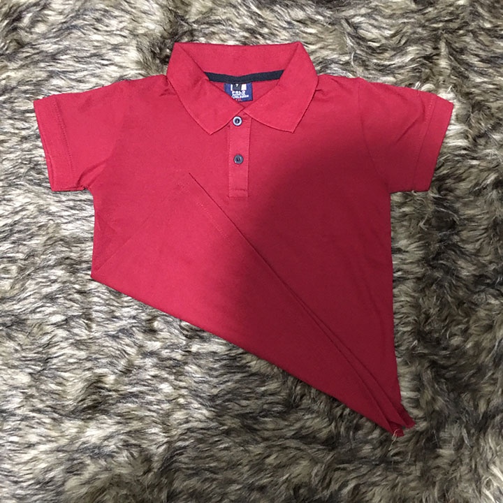 Áo thun có cổ trẻ em dành cho bé trai- TE0300