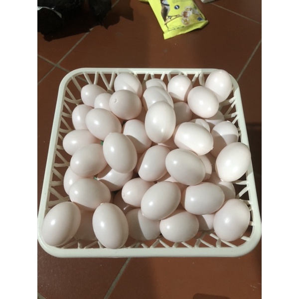 Trứng bồ câu giả loại màu hồng