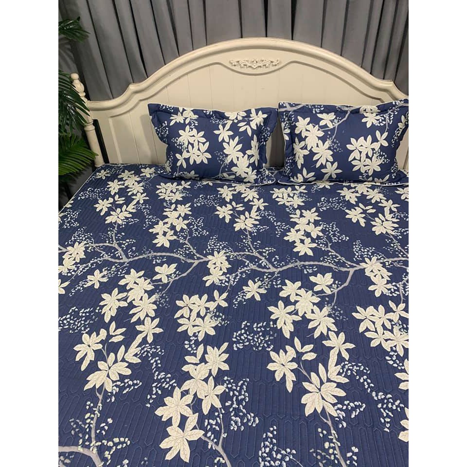 Ga gối chun trần bambilo