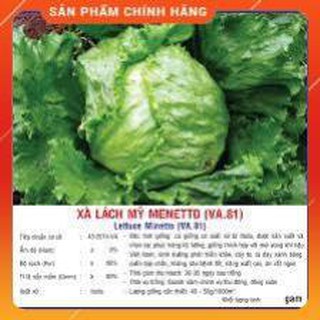 Hạt giống xà lách Mỹ