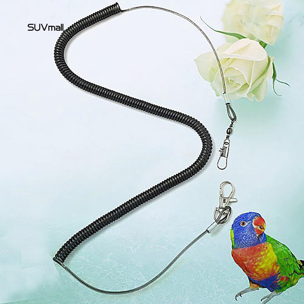 Dây xích chân vẹt hỗ trợ tập luyện đảm bảo vẹt không bay đi mất dài 2/4/6 mét tiện dụng