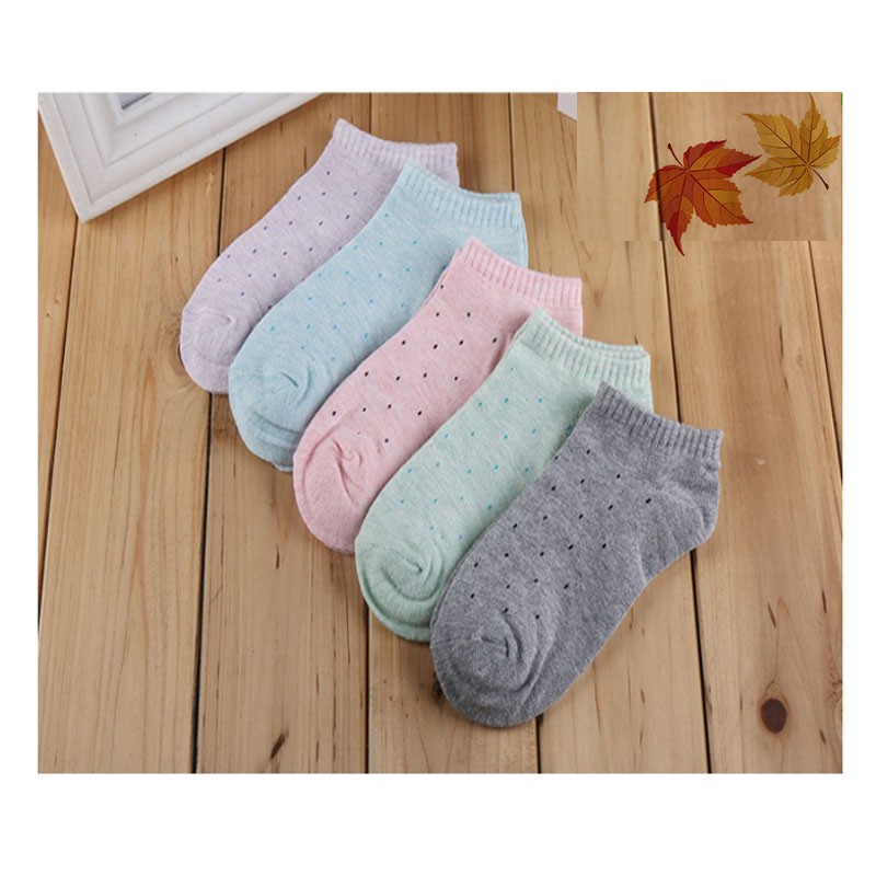 Combo 05 đôi vớ người lớn hoạ tiết xinh xắn