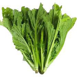 HẠT GIỐNG CẢI MÈO GÓI 20 GRAM
