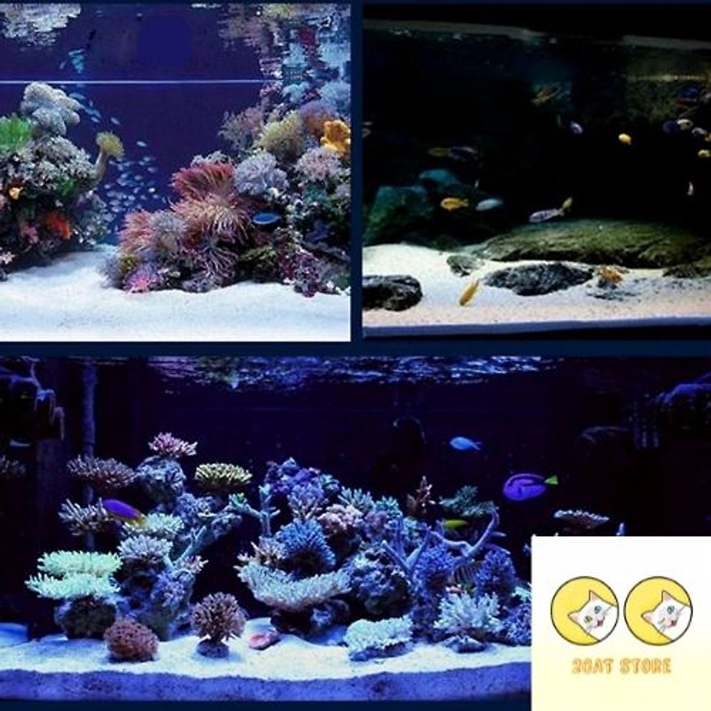 Cát thạch anh (1KG)nước sinh hoạt, trải nền, làm thác cát, trang trí bể cá, khử asen, tạp chất có trong nước