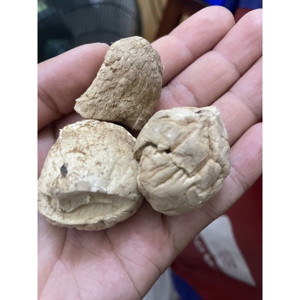 Chân nấm đông cô khô chay -100gr