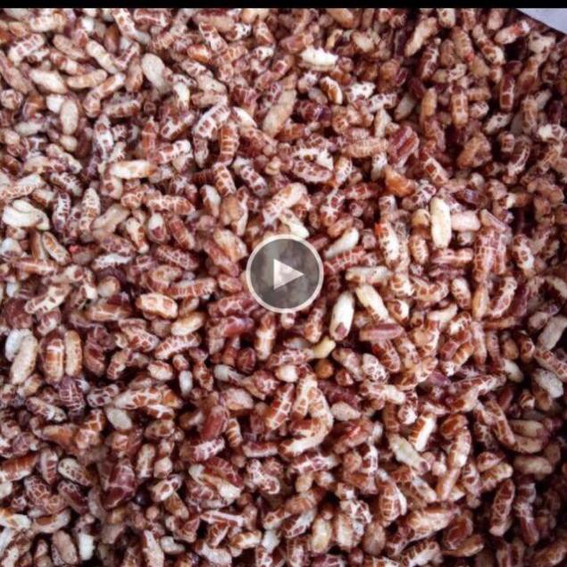 Sỉ 5kg gạo lứt sấy vị muối mè thơn ngon - Healthy