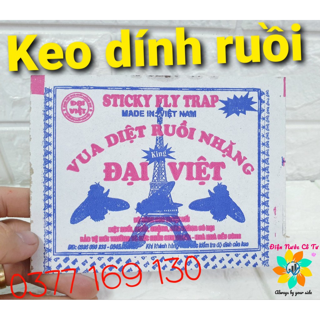 5 miếng keo dính ruồi loại tốt giá 10k