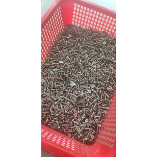 Vít inox bắt gỗ 1.5F (gói 100gr)