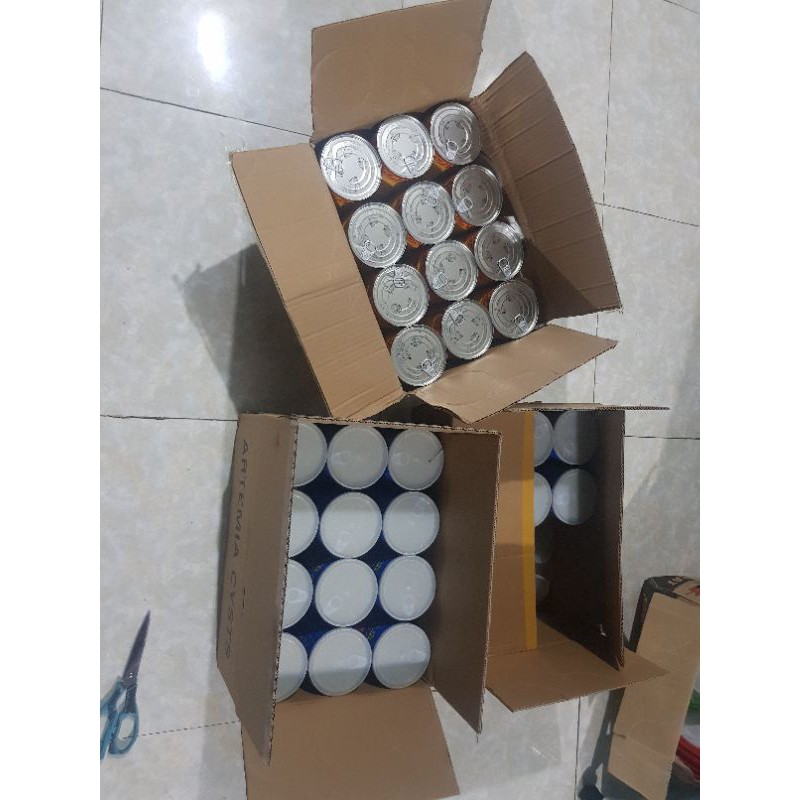 Atermia Lon Vàng date mới