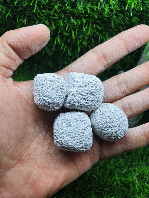 Sứ bi bầu vật liệu lọc, trang trí cho hồ cá, ổn định pH và làm nhà cho vi sinh - Guppyxanb