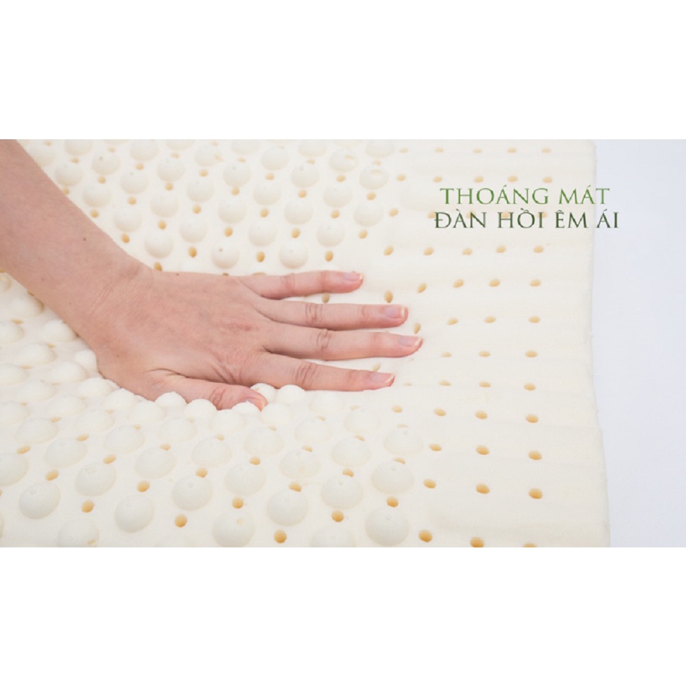 Gối cao su Vạn Thành Massage