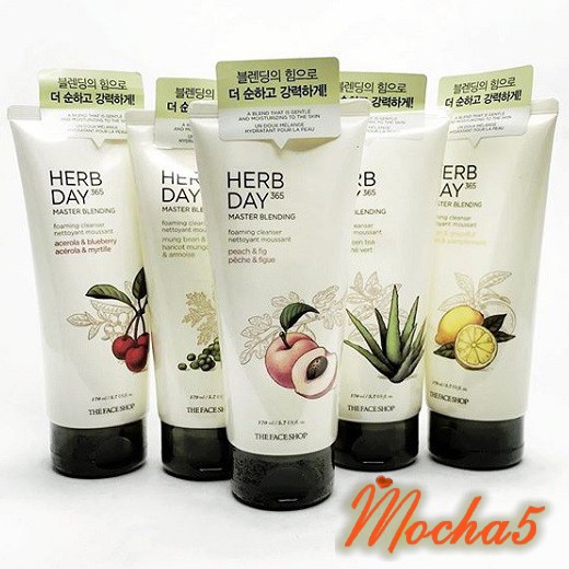 Sữa rửa mặt TFS Herb Day 365 Cleansing Foam The Face Shop 170ml