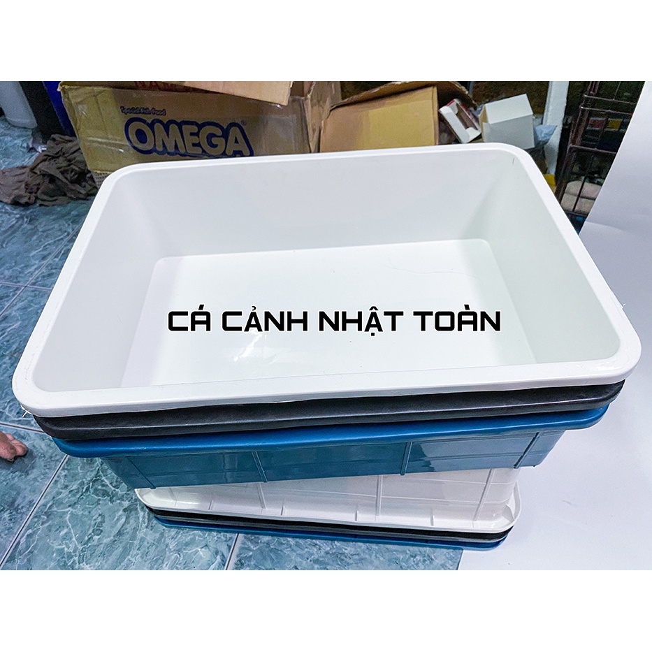 CÔNG NHỰA 16 LÍT NUÔI CÁ BẢY MÀU BETTA 50X35X13CM