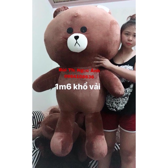 GẤU BROWN 1m6