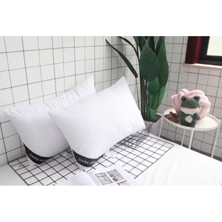 Ruột Gối Zara home