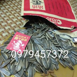Hướng dương vị mặn mặn ngọt ngọt hạt mẩy to đều