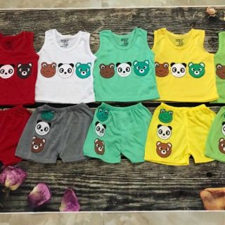 Combo bộ 50b carter sỉ