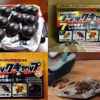 HỘP 12 Viên Thuốc diệt Gián Nhật Bản - viên thức ăn đuổi gián bù