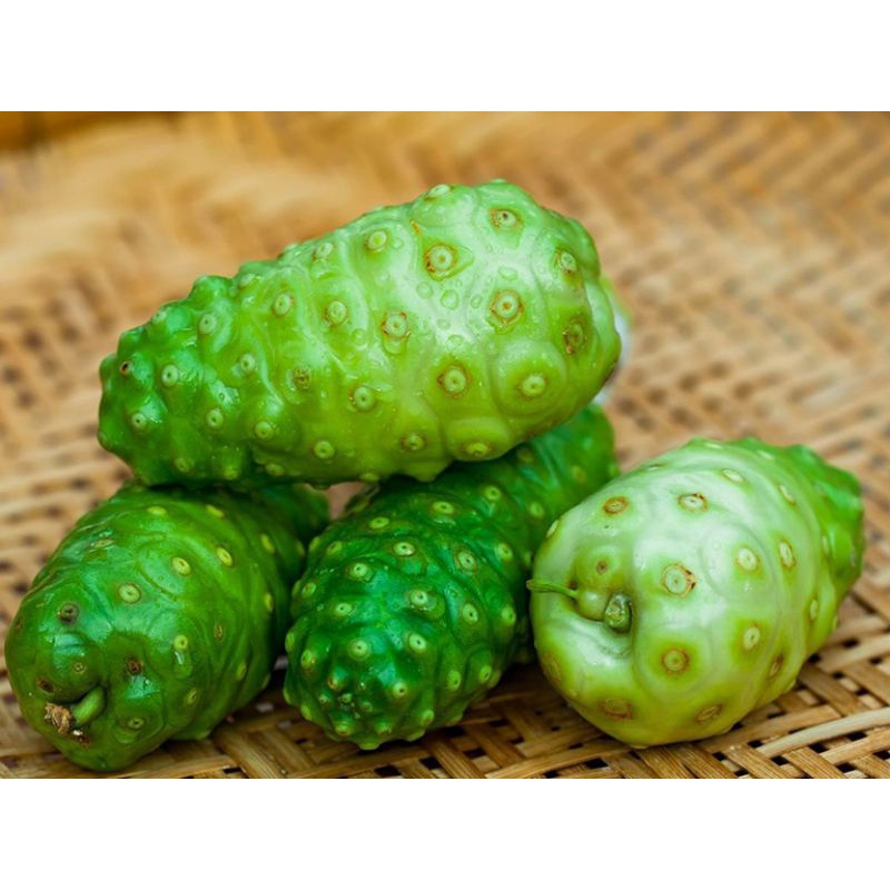 1 kg quả nhàu tươi