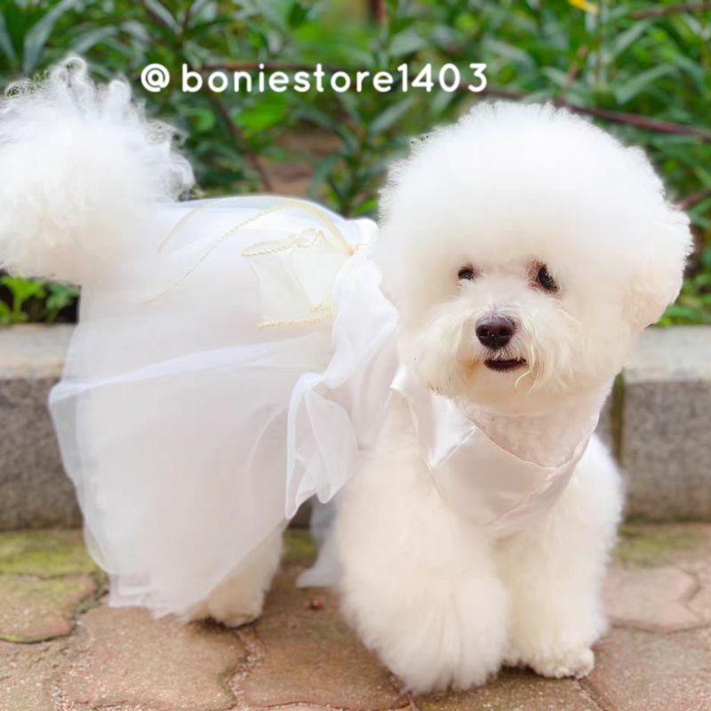 Đầm Váy Cưới Trắng Cho Chó Mèo Thú Cưng, Đầm Công Chúa Đính Nơ Phối Lưới Cao Cấp Hàng Thiết Kế