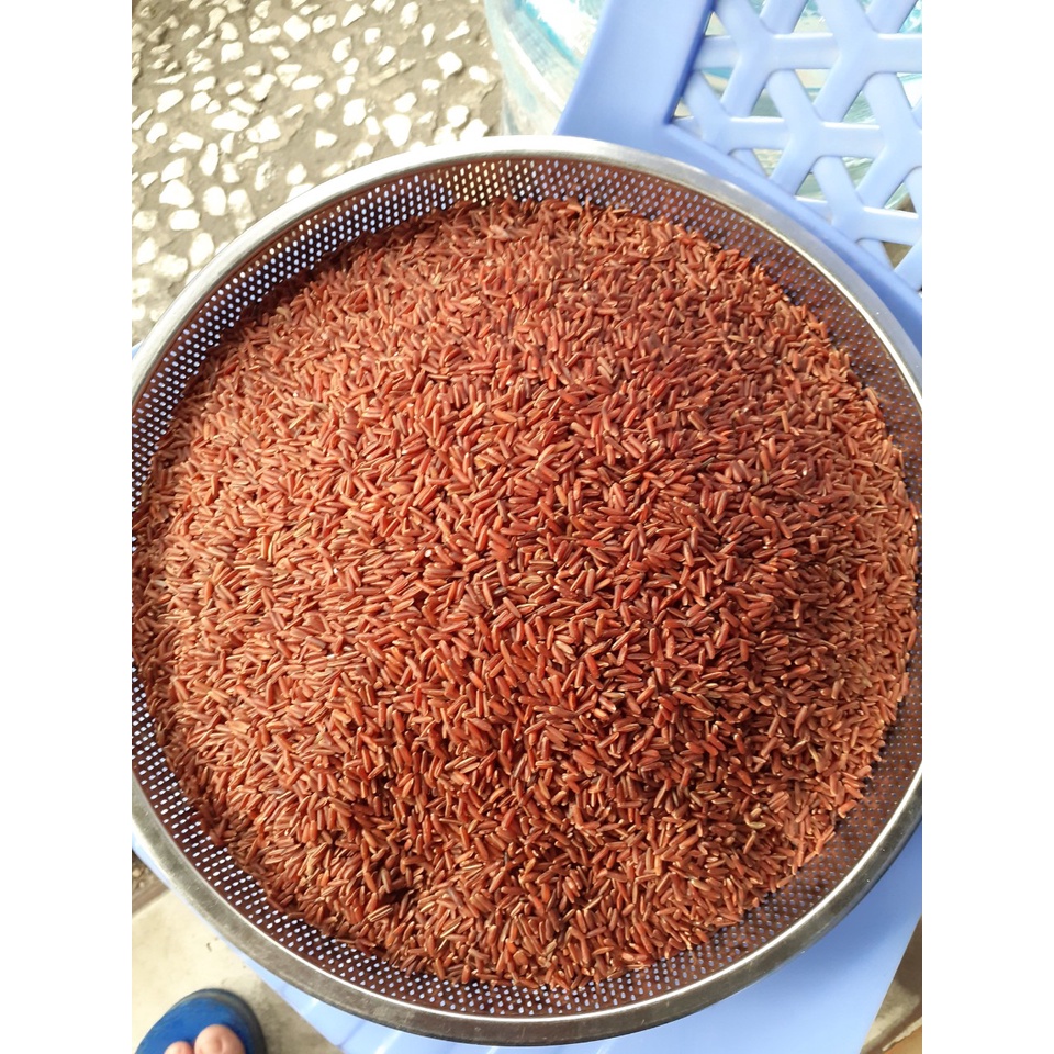 Gạo lứt đỏ huyết rồng🌾𝐁𝐈̣𝐂𝐇 𝟏𝐊𝐆🌾 Gạo lức thơm ngon, dẻo mềm cơm | BigBuy360 - bigbuy360.vn