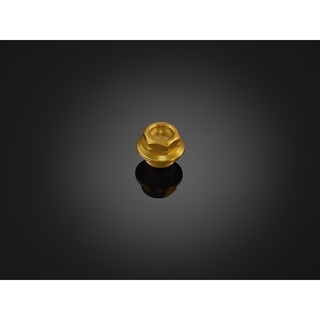 Nắp nhớt BIKERS (M20x2.5) Mã: K0325.BLACK