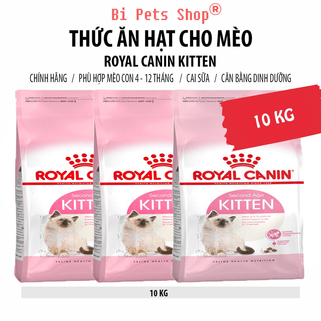 Thức ăn hạt cho mèo Royal Canin Kitten ⚡ 10 KG ⚡ Dành Cho Mèo Con Từ 4 - 12 Tháng Tuổi