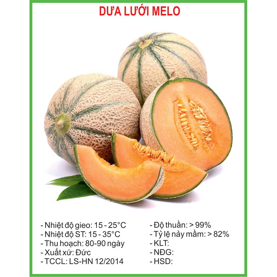 Hạt Giống Dưa lưới Melo 10 Hạt/ Gói