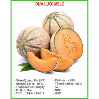 Hạt Giống Dưa lưới Melo 10 Hạt/ Gói