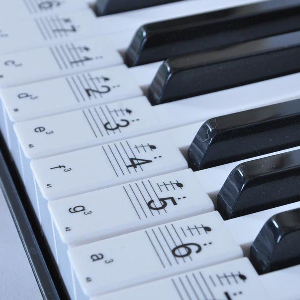 Miếng dán Piano 54/61/88 phím dành cho người mới bắt đầu - Sticker Piano - Miếng đàn đàn Piano