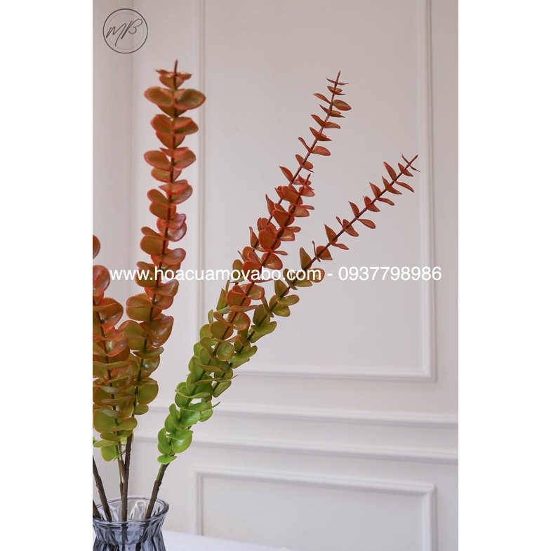 Cành Lá Tai Chuột, Lá Khuynh Diệp Merber Loại 80cm 8/5 Nhánh - Cành Lá Giả Cao Cấp, Trang Trí Nhà Cửa Decor Chụp Ảnh