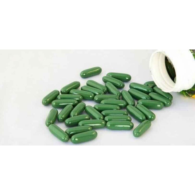 Dùng thử 5 ngày- 20 viên giảm cân Green Tea Fat Burner Mỹ