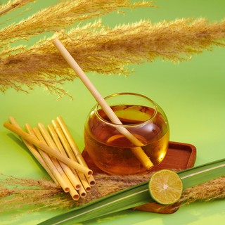 Ống hút cỏ sậy thiên nhiên Mana.st - hàng xuất khẩu