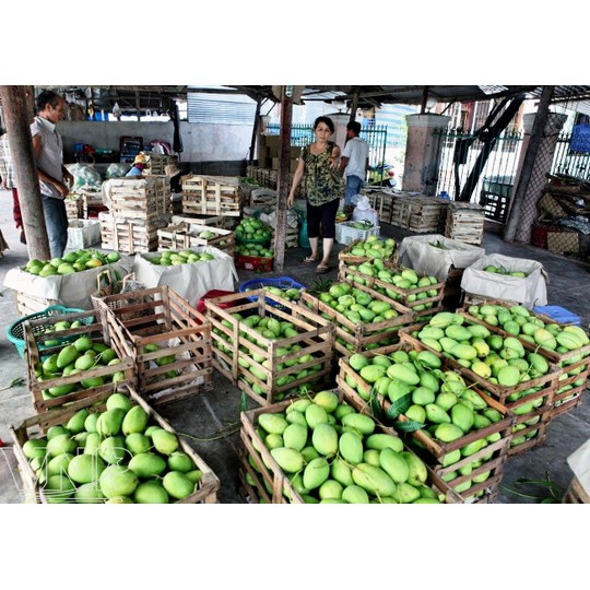 Xoài bao tử 1kg bán tại hà nội - giao hàng ifast - ifast.com.vn - cbig.vn - hệ thống tạp hóa cbig.vn