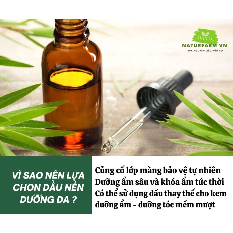 15ML Tinh dầu trái bơ ( Avocado Oil ) Tinh chất bơ siêu dưỡng da 100% Organic