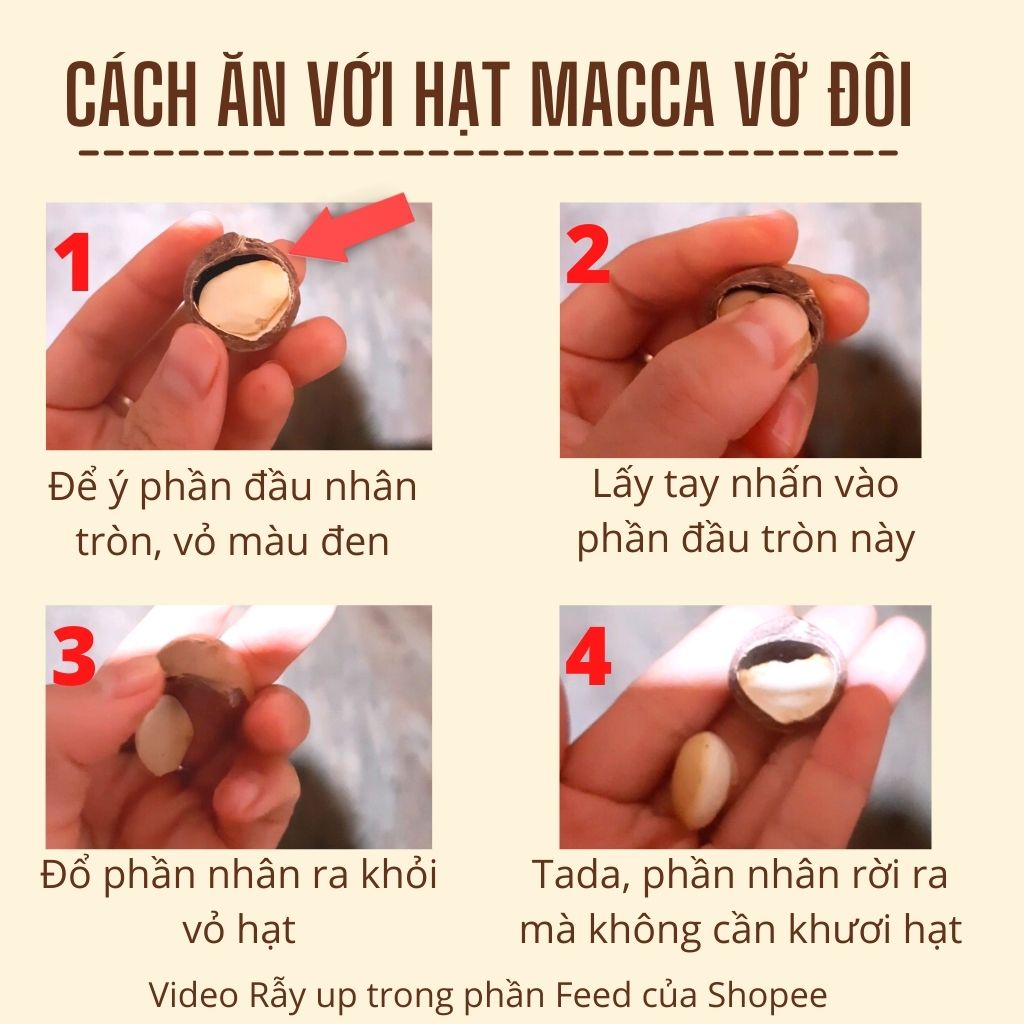 500g Hạt Macca Nứt Vỏ Tây Nguyên Tươi Sấy Lạnh Loại 1, Tặng Đồ Khui