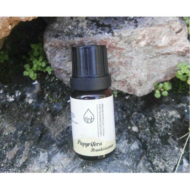 Papyreiferra -Tinh dầu Nhũ Hương Cao Cấp dung tích 10ml (Papyreiferra Frankincense Essential Oils)