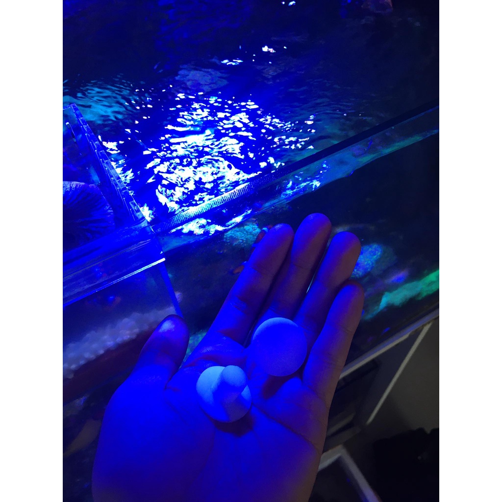 Đế frag phản quang cam xanh trắng