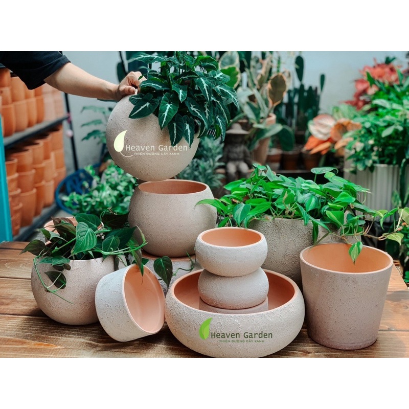 Chậu đất nung phun cát vintage