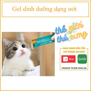 Gel dinh dưỡng dạng ướt, dạng pate snack súp thưởng cho mèo