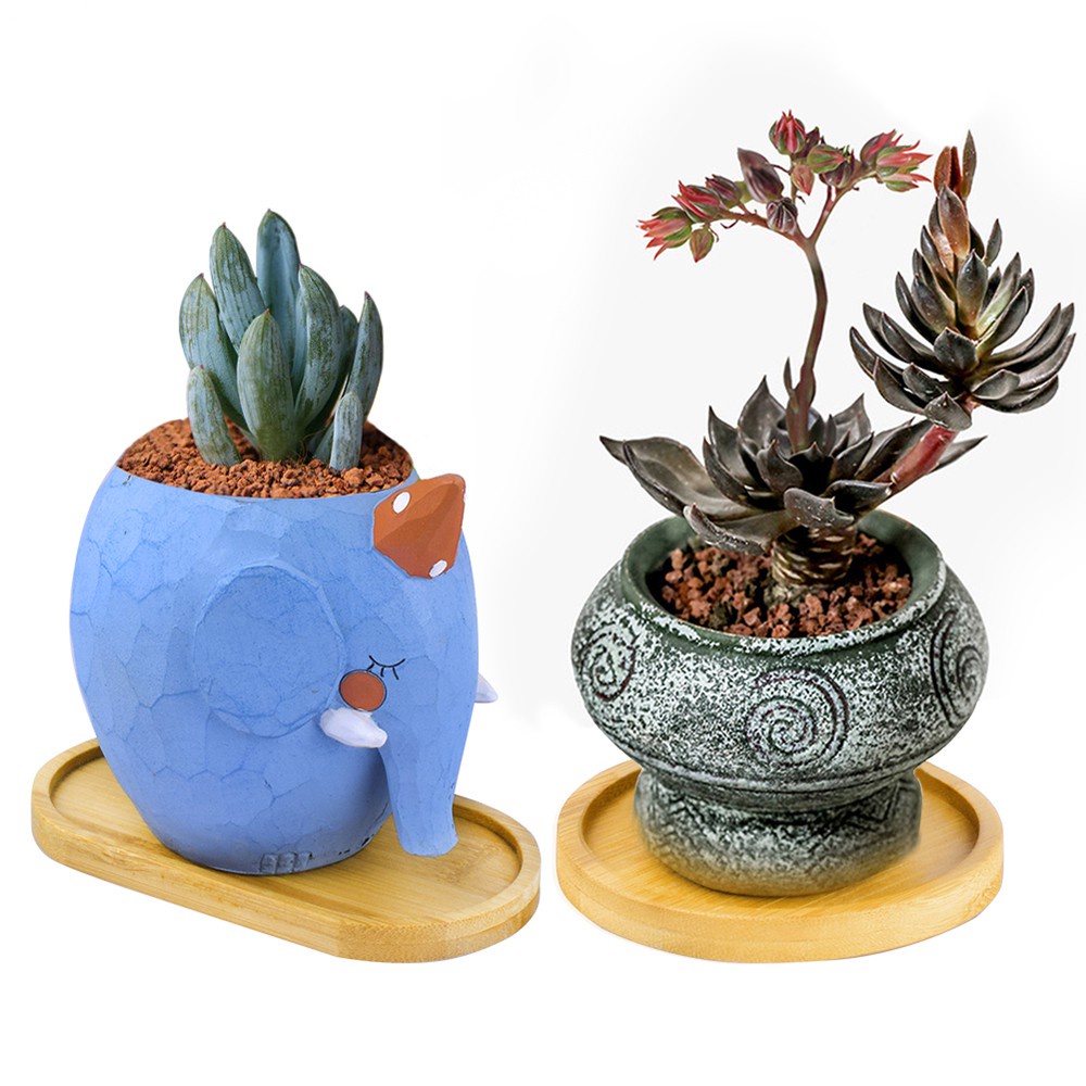 Giá Gỗ Để Chậu Cây Trang Trí Được Thiết Kế Đơn Giản