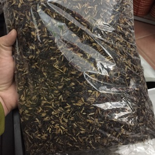 Trấu hun đóng gói nhỏ 400g dùng cho cây cảnh