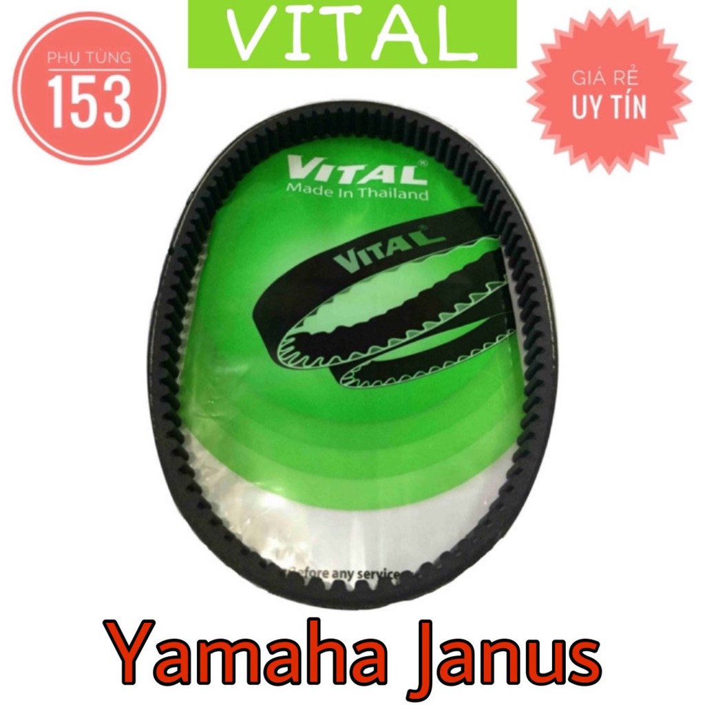 Dây Curoa Janus hiệu Vital (Thái Lan) - Dây curoa xe tay ga - PHỤ TÙNG 153