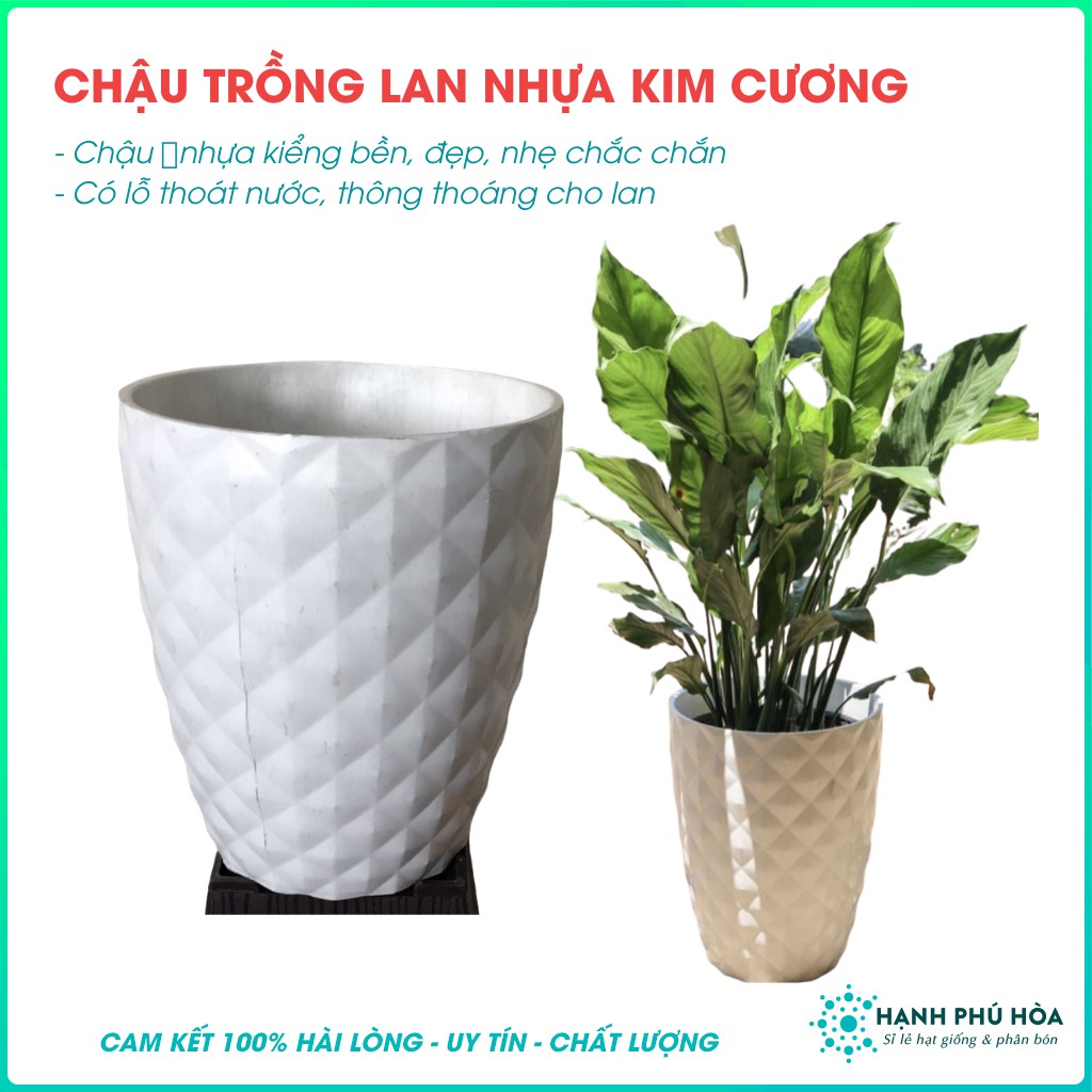 Chậu Nhựa Kim Cương- Trồng Cây Kiểng Kích Thước 26x21cm