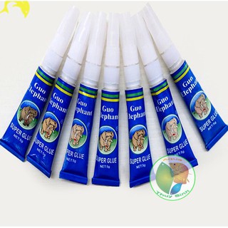 Keo gắn cây thủy sinh, keo gắn rêu